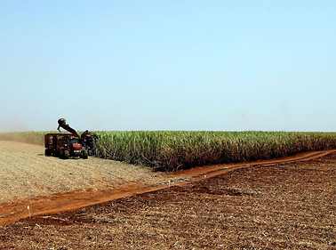 plantacao_de_soja_soja_agricultura110320
