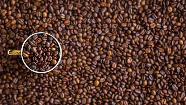 cafe.jpg