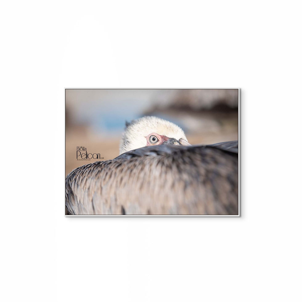 The Rest Between Tides L.E