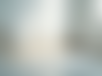 A Safer Solution for Effective Mould Removal in Your Home