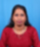 3. Senior accountant.JPG