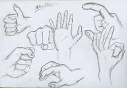 Hands