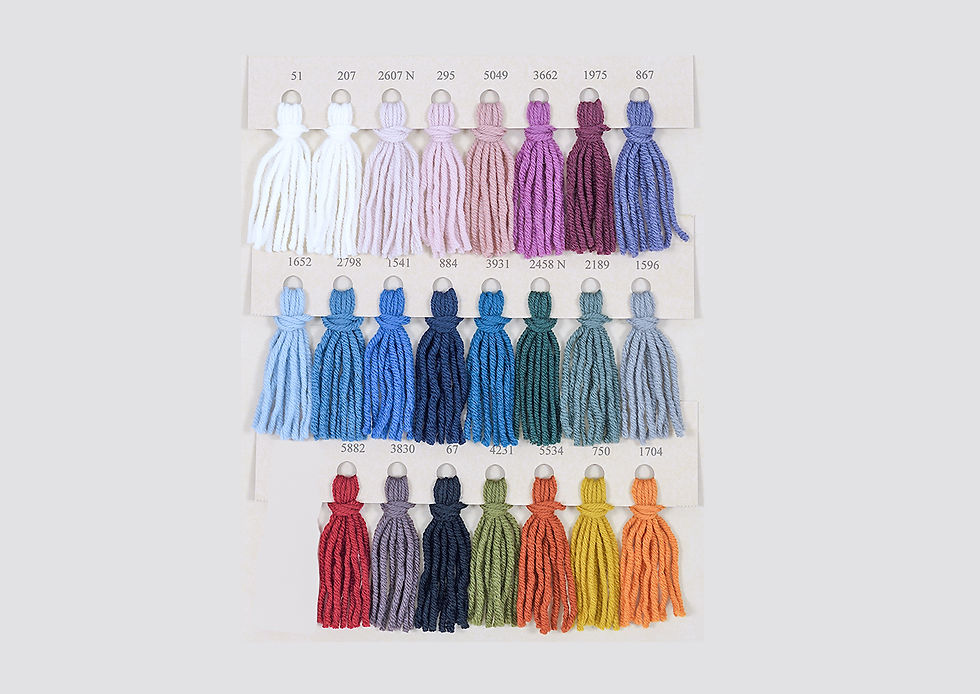 サムネイル： SESIA BIO MERINO