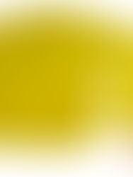 アラン模様のウエアー　