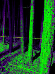 B60EE070-DD64-408A-A0F6-549206B02066.JPEG