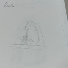IMG-9207.jpg