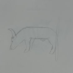 IMG-9225.jpg