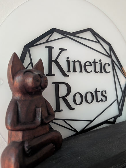 Meditation Cat at Kinetic Roots