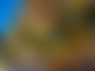 Mistakes Utah HOAs Make With Permanent Holiday Lighting Rules