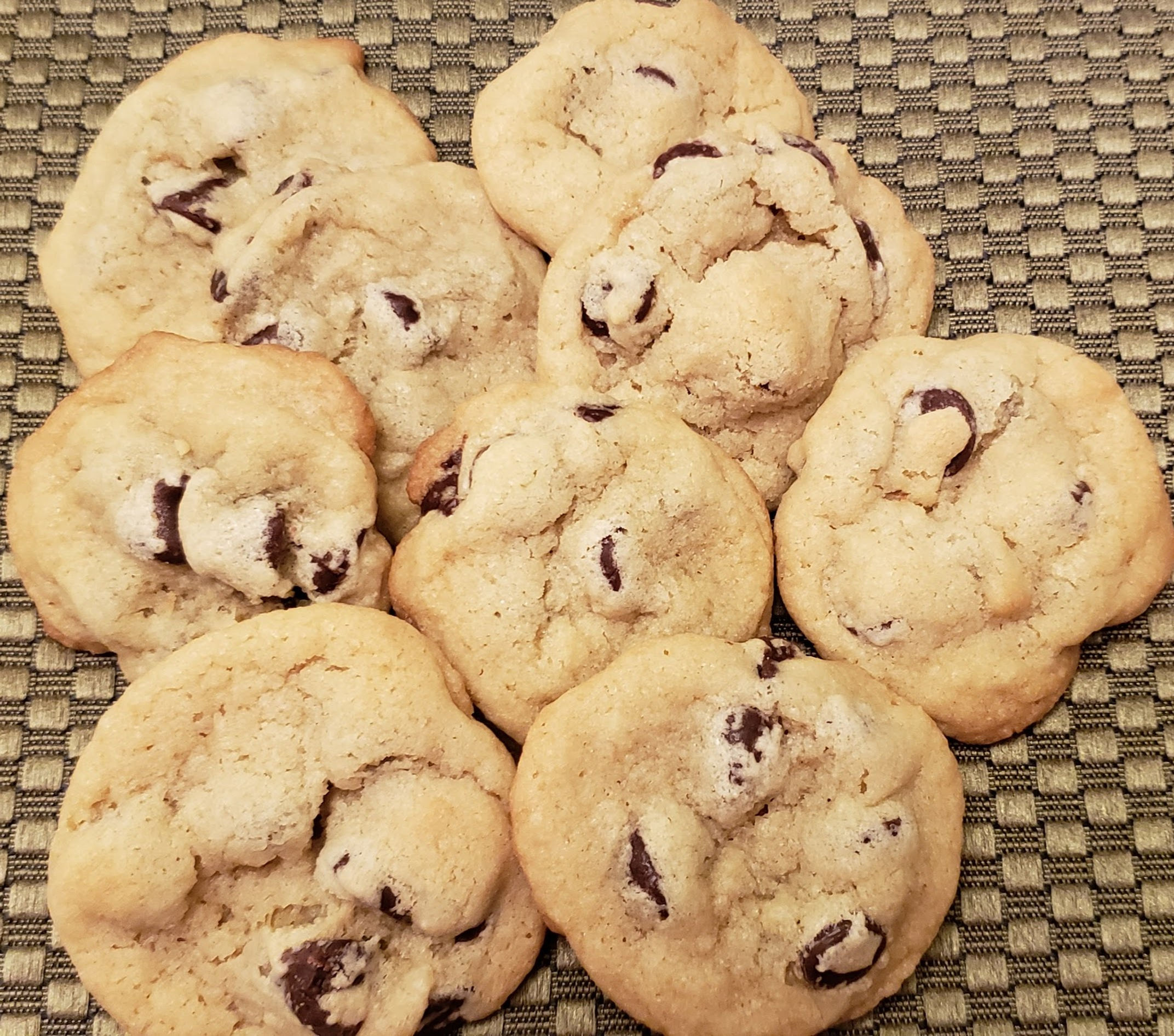 Chocolate Chip (dozen)