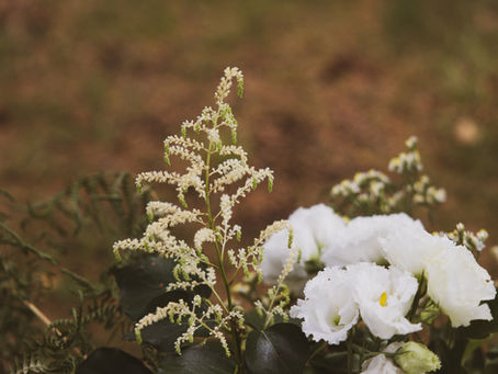 Forêt enchantée au Domaine de la Rainville