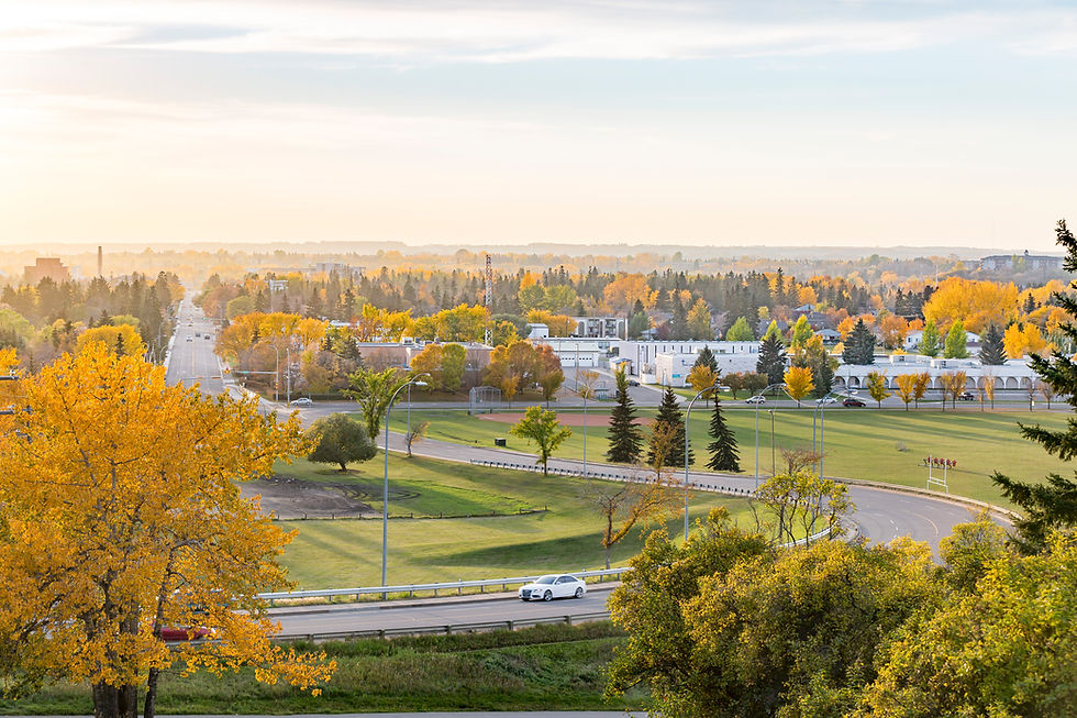 Fall---Coming-down-ASH-Hill---Landscape.jpg