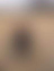 Soil health journey in tune with Mother Nature