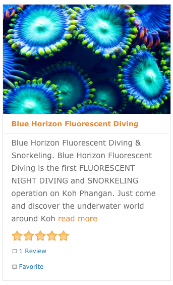 Article in "We love Koh Phangan"