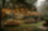 photorealistic-wedding-venue-with-intricate-decor-ornaments.jpg