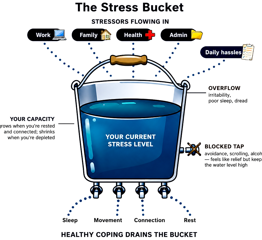 Bucket 2.png