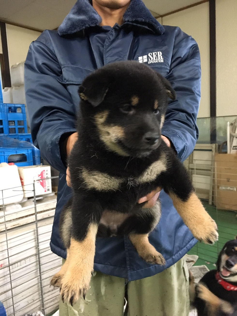 image2 (1) のコピー 4