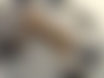 年内営業は12/26㈮まで