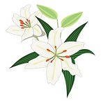 スクリーンショット (9).png