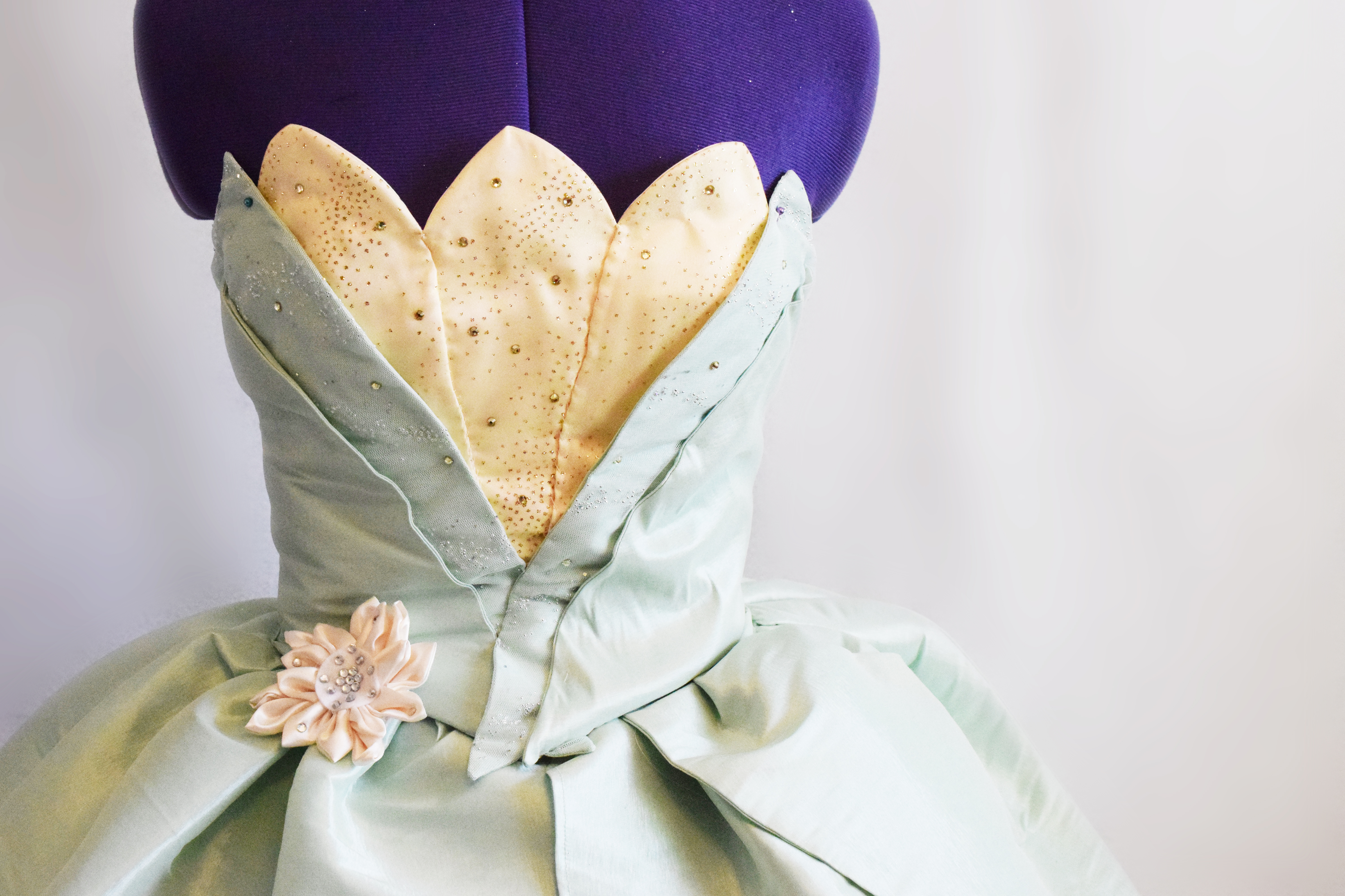 Disney Princess Tiana Inspired Gown