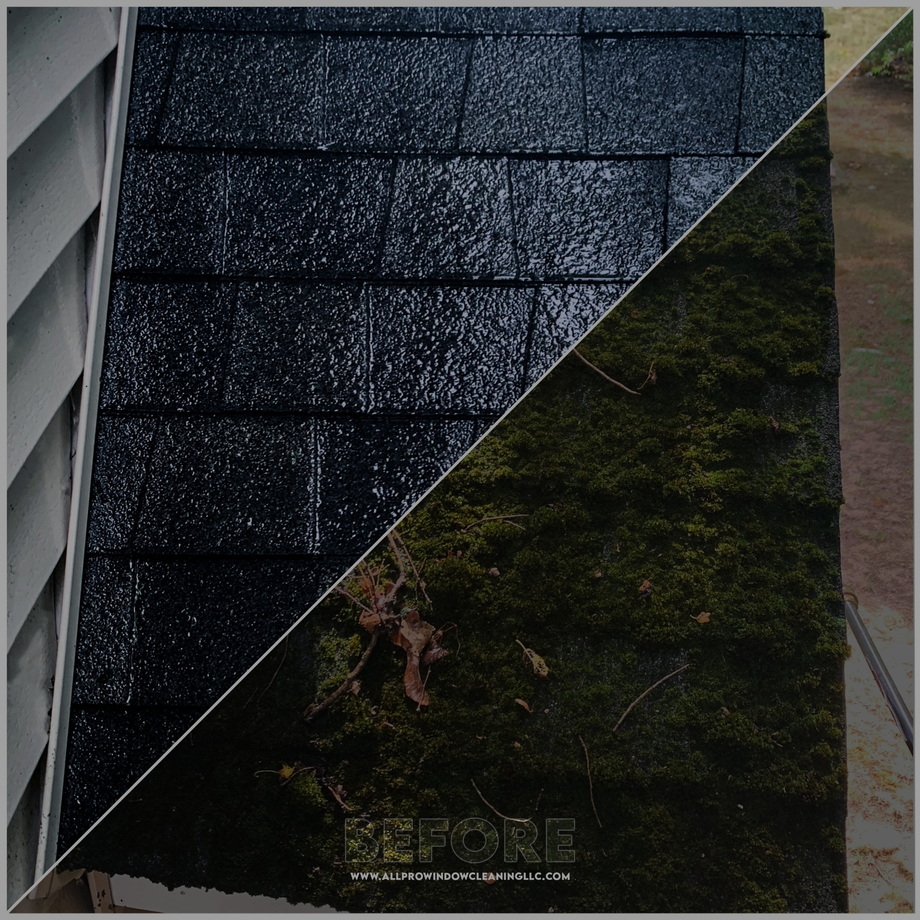 Residential Roof Cleaning - All-Pro Window Cleaning & Power Washing Woburn & North Andover