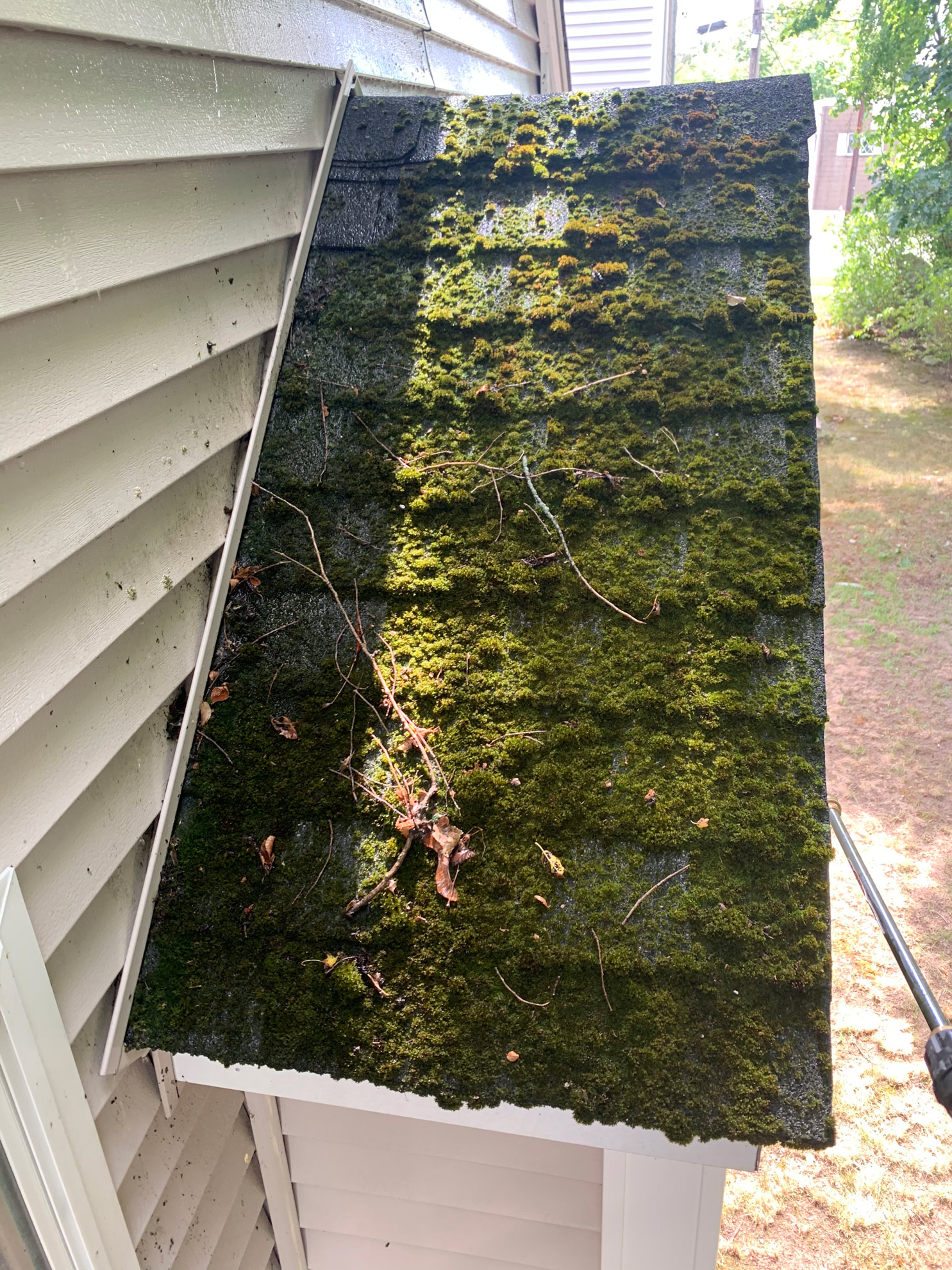 Residential Roof Cleaning - All-Pro Window Cleaning & Power Washing Woburn & North Andover