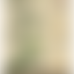 Uses of Cannabis – Infographic Poster