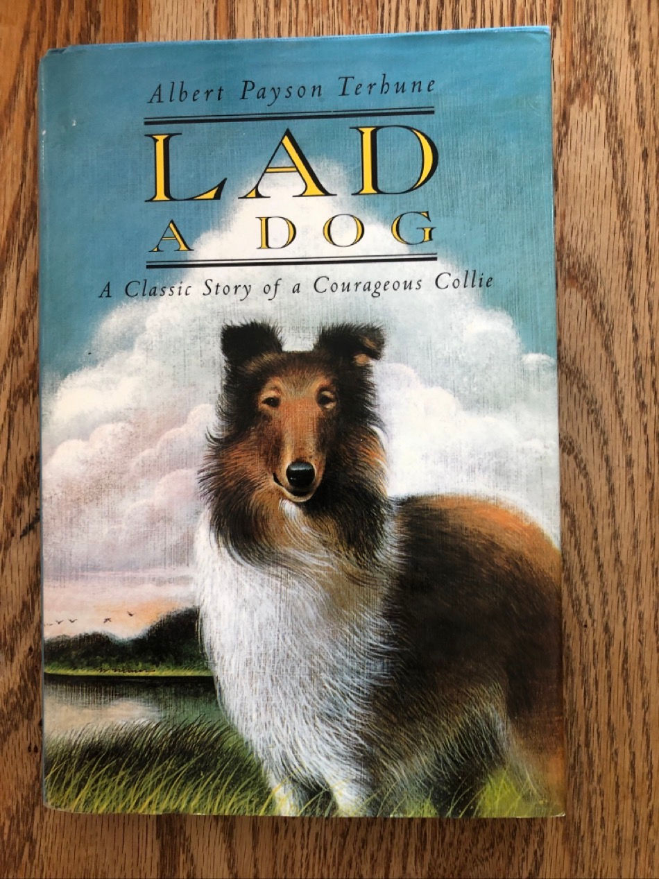 B13 Lad A Dog Hardcover 