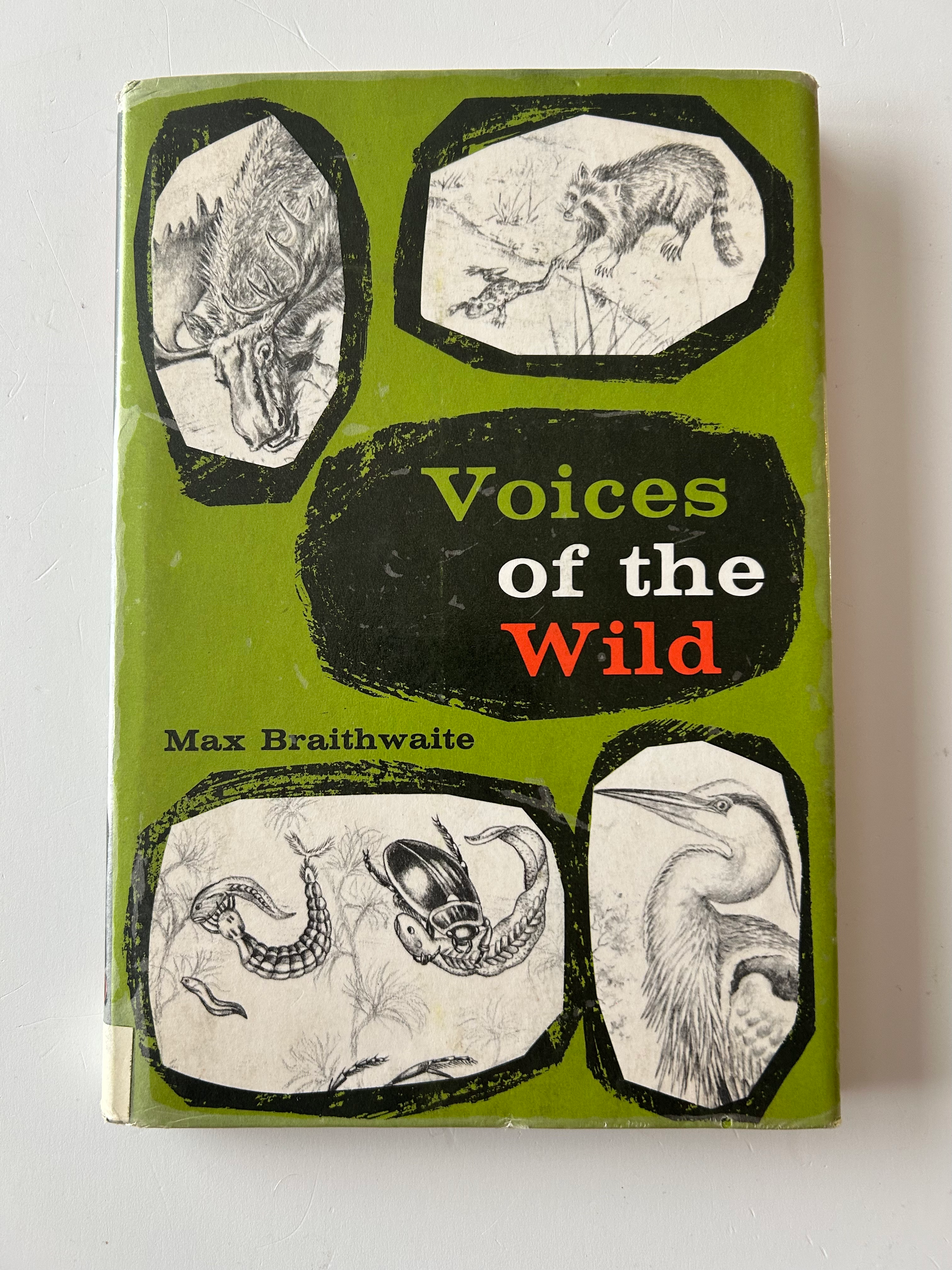 L6  Voices of the Wild 