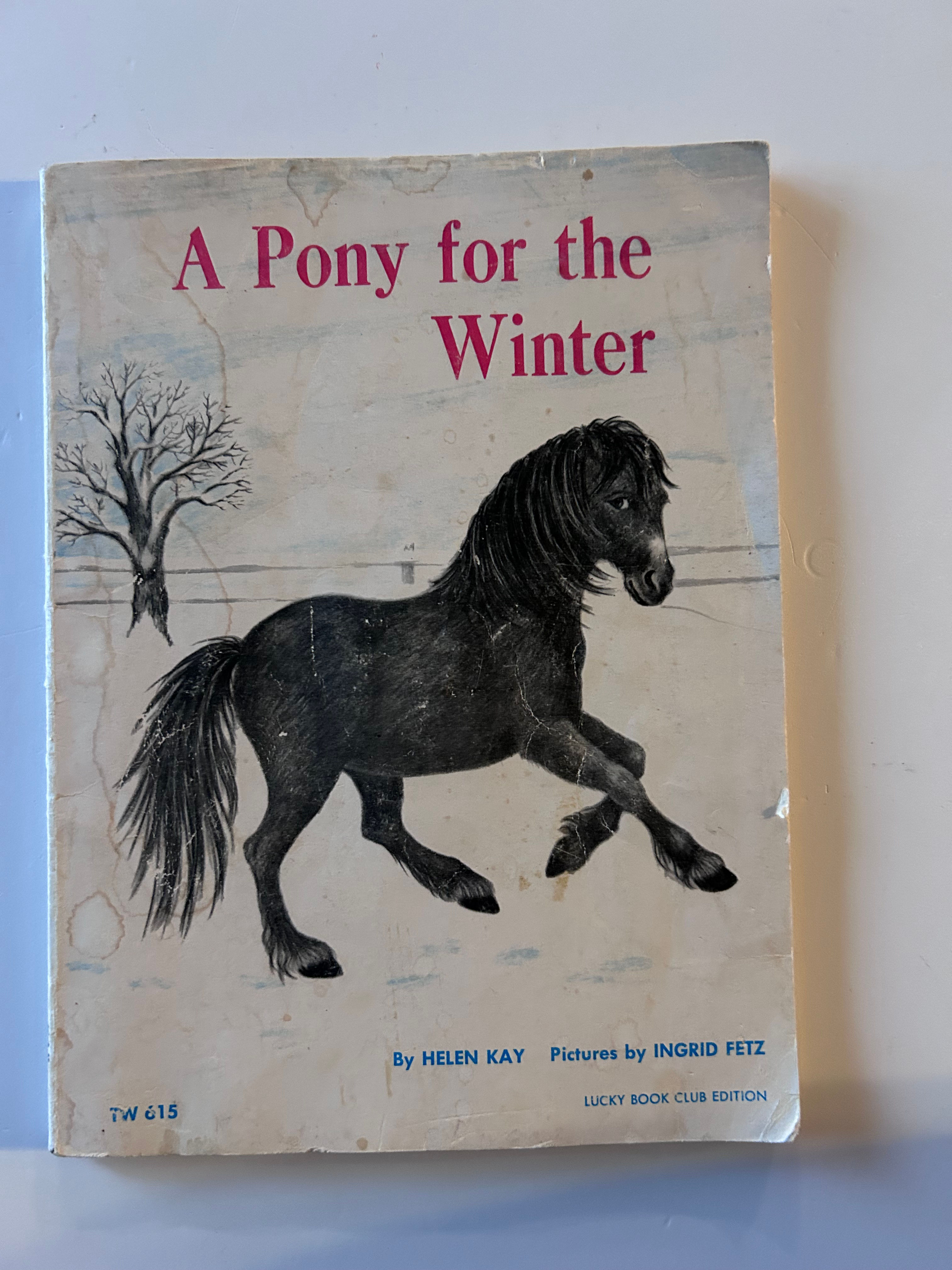 B11 A Pony for the Winter Vintage Scholastic Book 