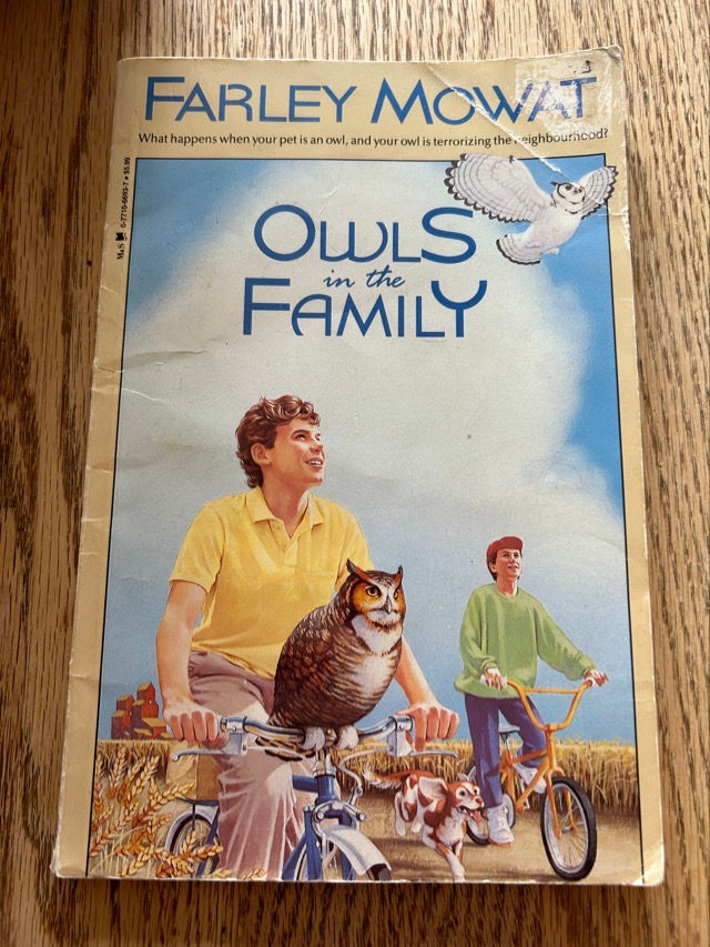 I7 Owls in the Family 