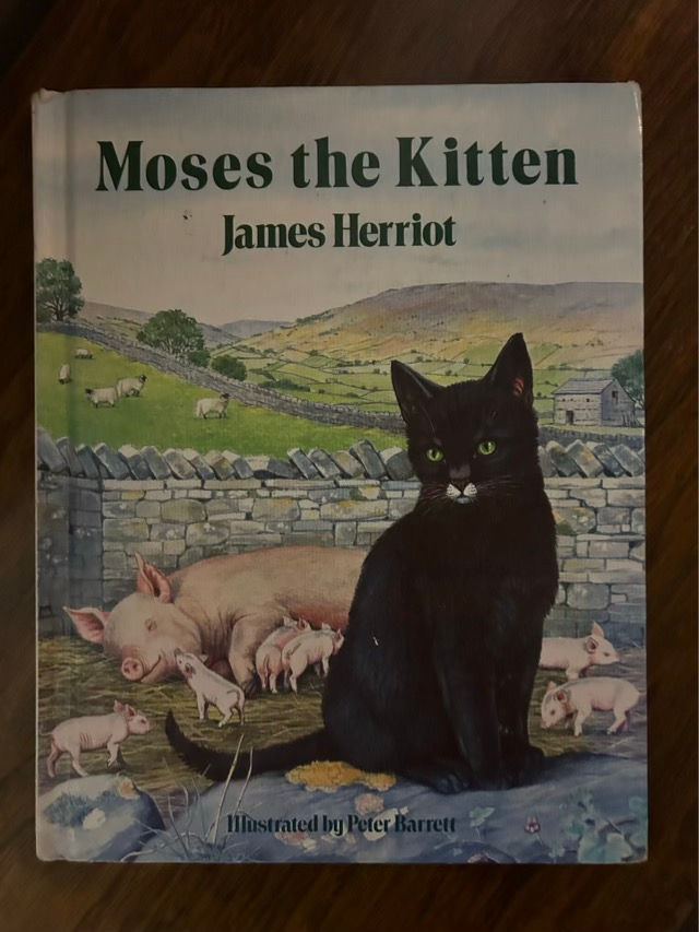 A1 Moses the Kitten 