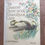 Thumbnail: B14 The Country Diary Of An Edwardian Lady 