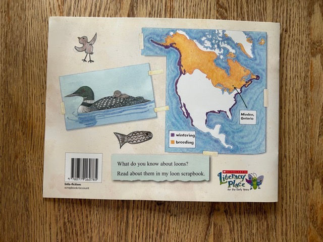Thumbnail: A3 The Common Loon ••Weekend Sale•• 
