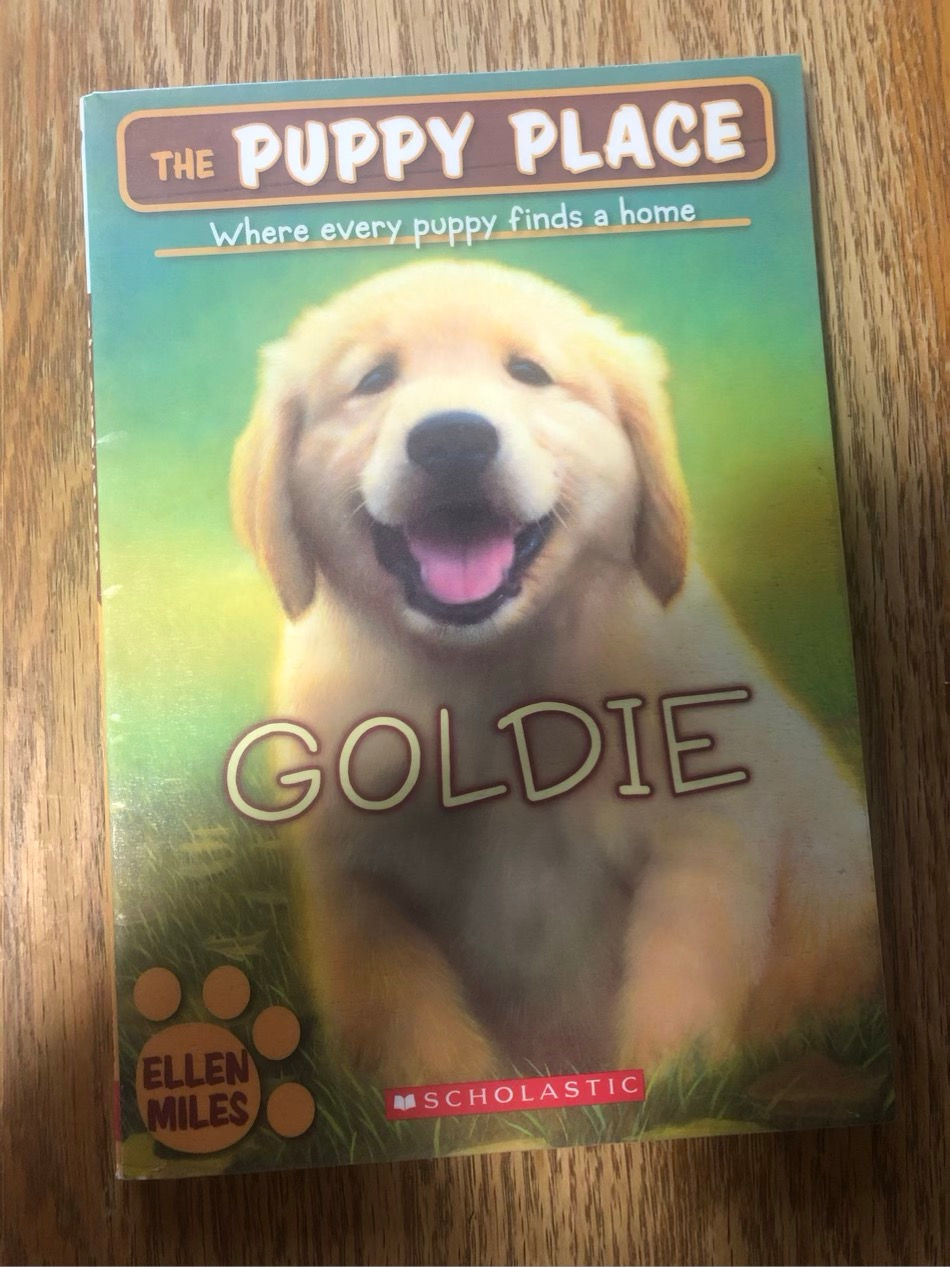 I8 Goldie The Puppy Place 