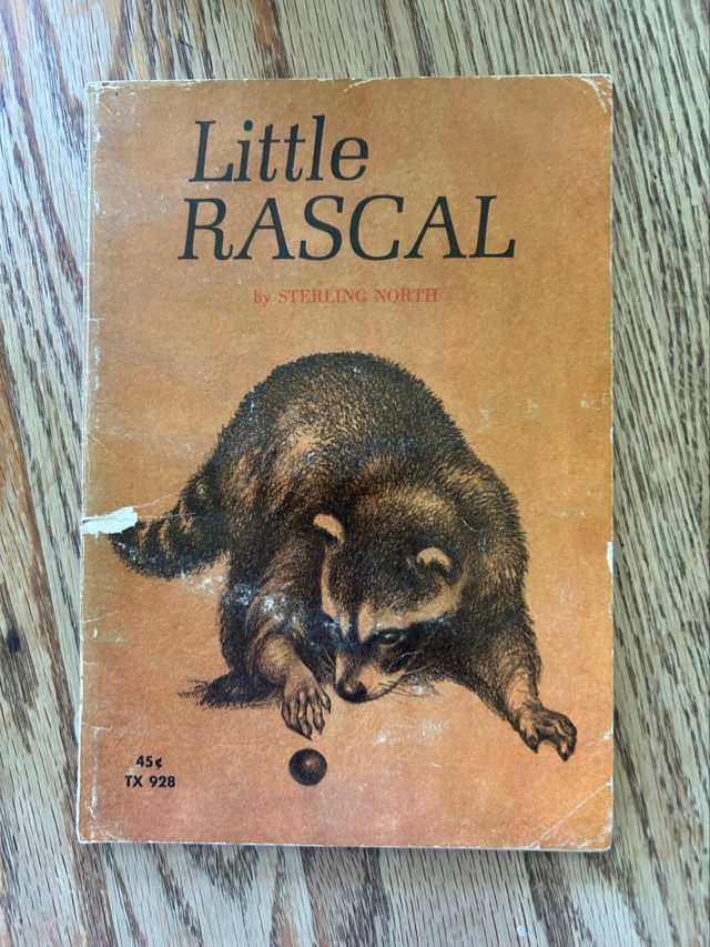 Little Rascal 