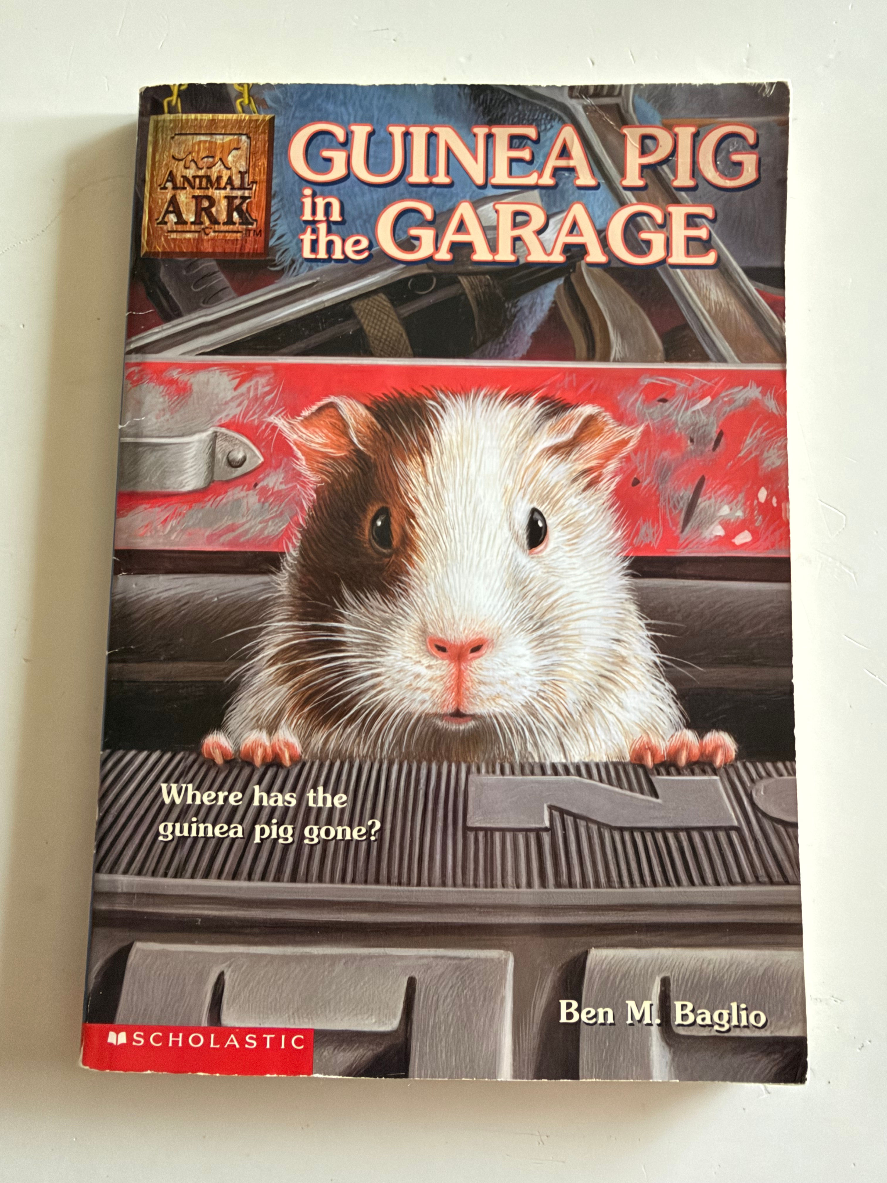 C1 Guinea Pig in the Garage Animal Ark 