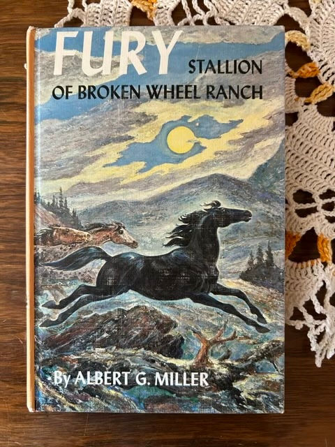 I6 Fury Stallion of Broke  Wheel Ranch 