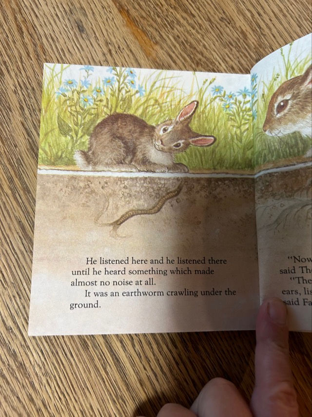 Thumbnail: J5 Five Little Bunnies Little Golden Book 