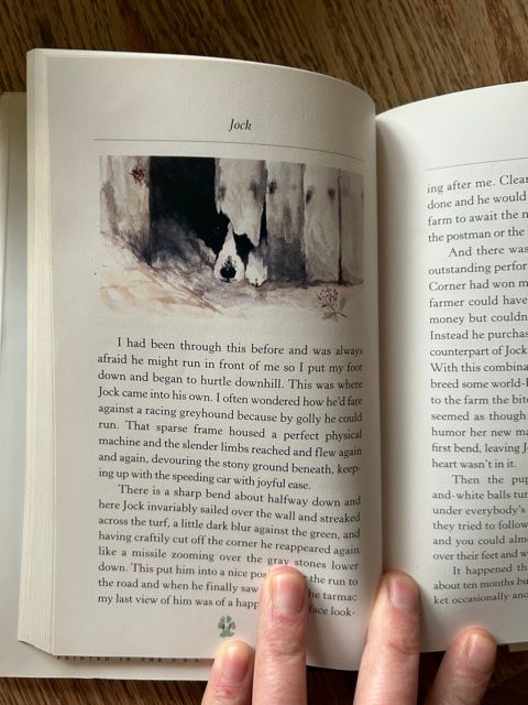Thumbnail: L7 James Herriot’s Favourite Dog Stories 