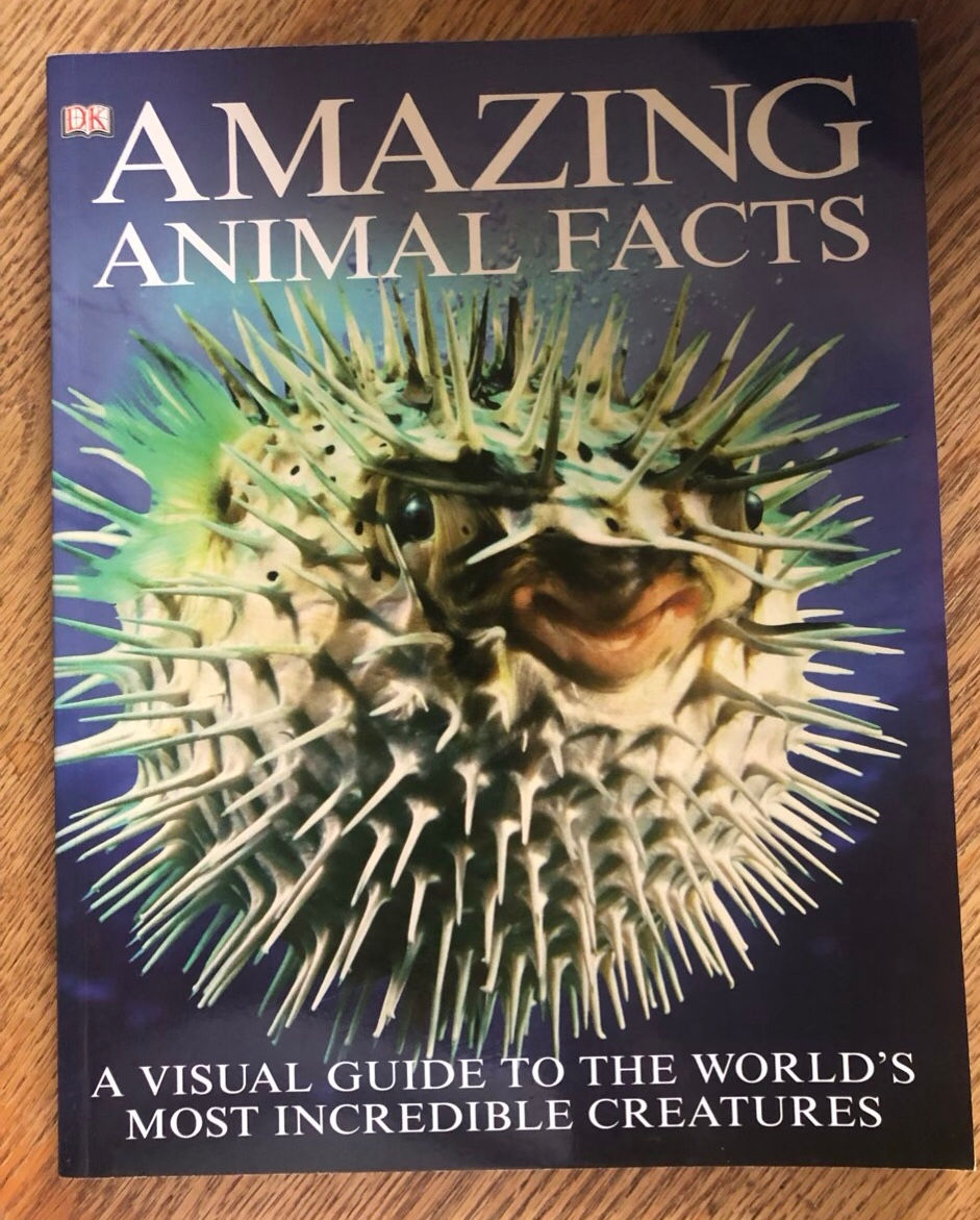 A2 Amazing Animal Facts 