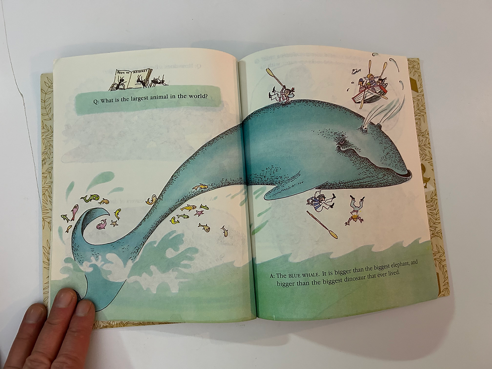 Thumbnail: L6 Animal Quiz Book Vintage Little Golden Book 
