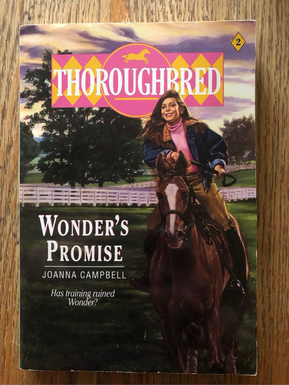 E15 Wonder’s Promise 