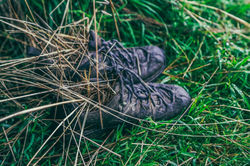 22555667_10159621428405531_7400251093997