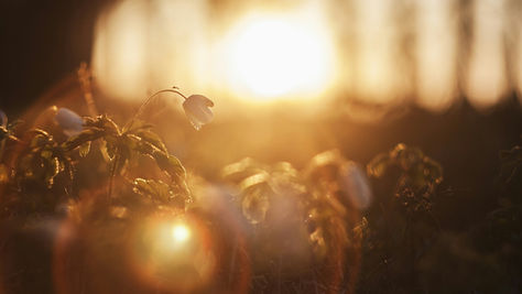 Sabina en André – ademtherapie – traumasensitieve begeleiding in Obdam