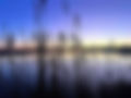 Riet langs stil water bij zonsopkomst met open horizon als beeld voor vertraging en bewust leven in ritme bij Holistisch Dromen