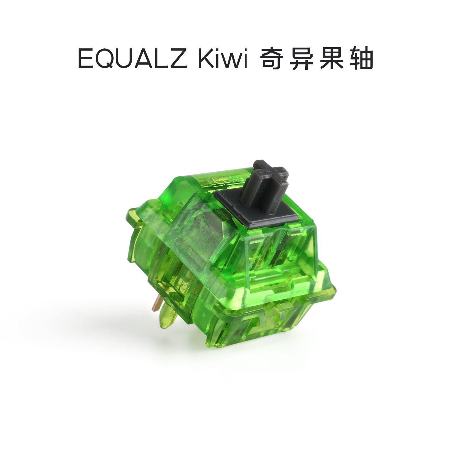 EQUALZ Kiwi