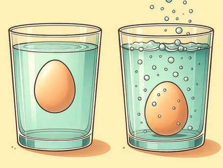 🥚Floating Egg Challenge