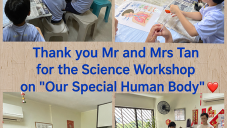 Our Special Human Body — Learning How Our Lungs and Heart Work
