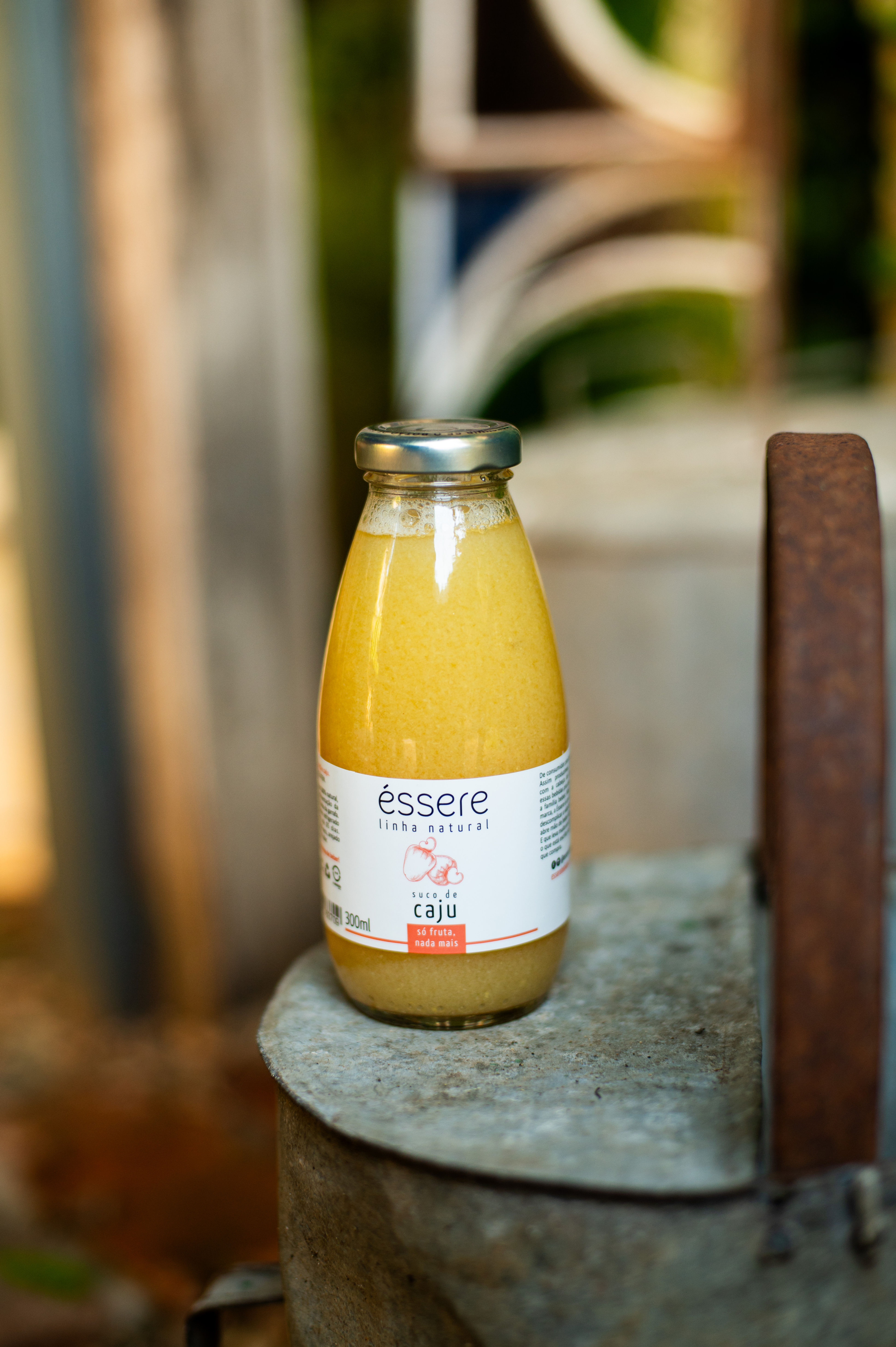 Caju 300ml - caixa com 06un